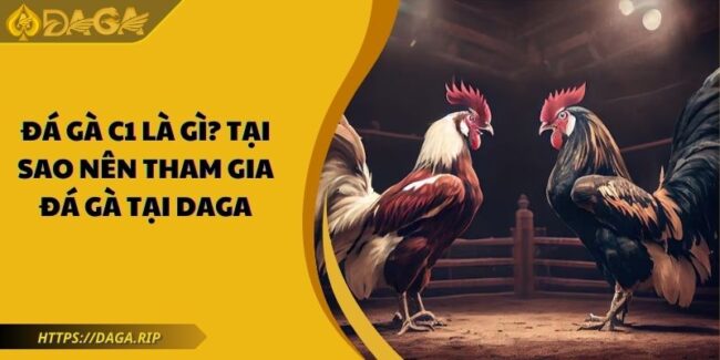 Đá Gà C1 Là Gì? Tại Sao Nên Tham Gia Đá Gà Tại DAGA 4 đá gà C1