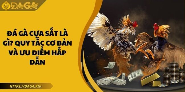 Đá Gà Cựa Sắt Là Gì? Quy Tắc Cơ Bản Và Ưu Điểm Hấp Dẫn 1 Đá gà cựa sắt