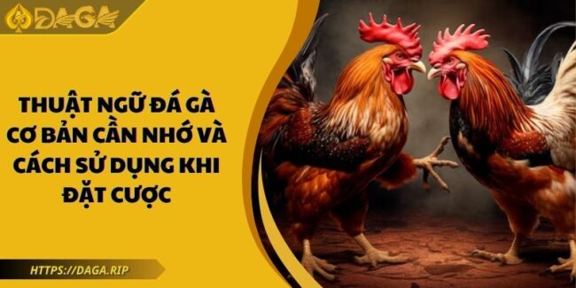 Thuật Ngữ Đá Gà Cơ Bản Cần Nhớ Và Cách Sử Dụng Khi Đặt Cược 3 thuật ngữ đá gà